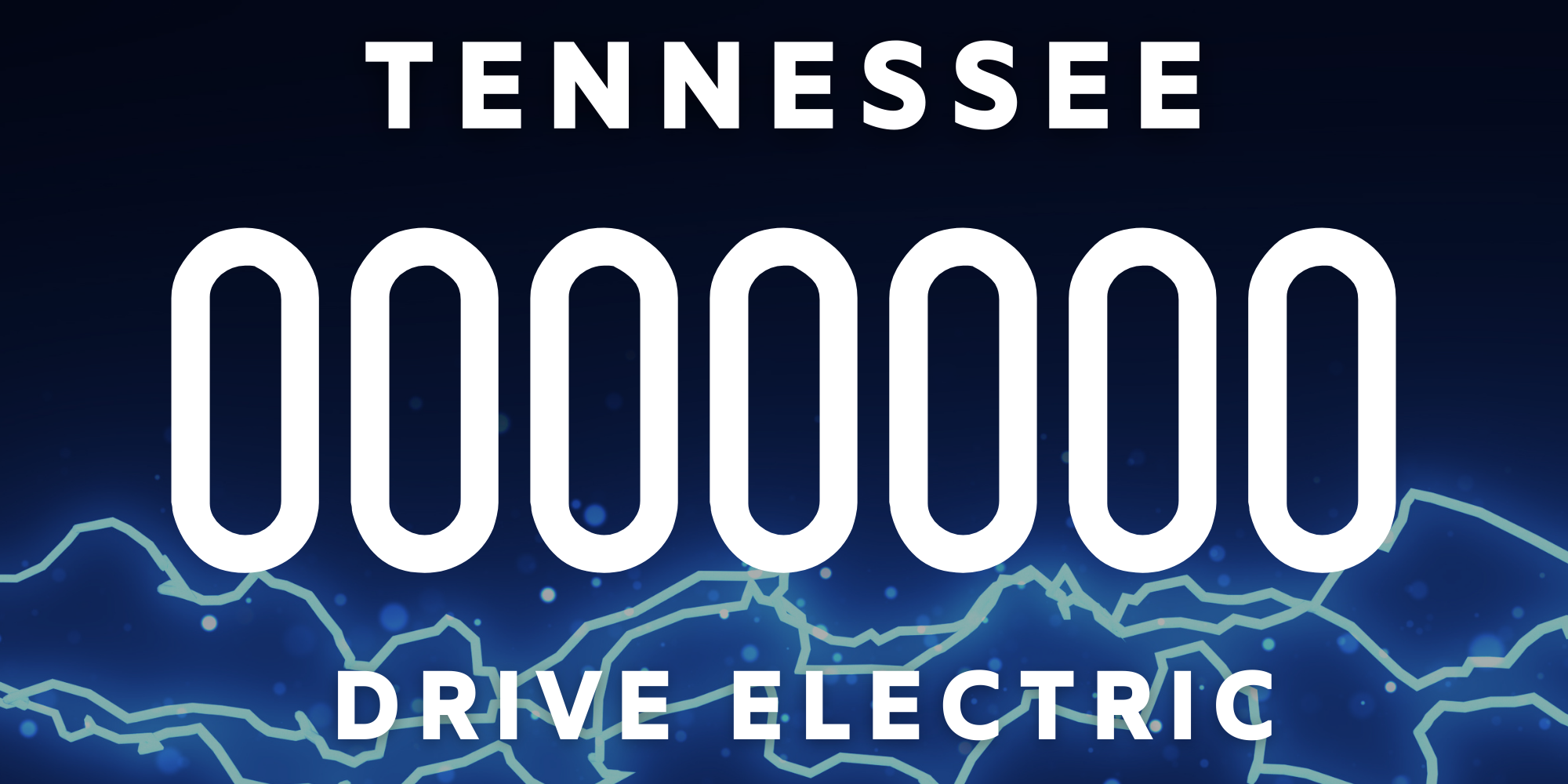 final det license plate (1)